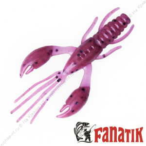 Fanatik Raider 1,6 цвет 021