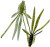 silikonovaya_primanka_relax_nymph_5_14sm_l651_upakovka__5sht_b